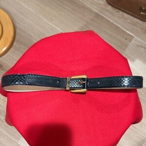 Elegant Black Snake skin Belt with Gold Buckle